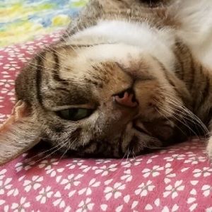 Meet your Posher, Kaitlyn